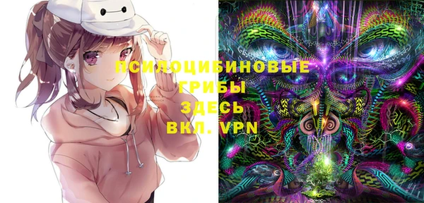 винт Алзамай
