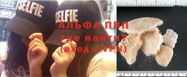 винт Алзамай