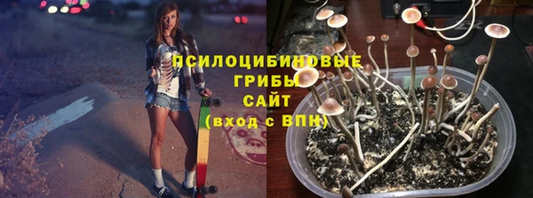 винт Алзамай