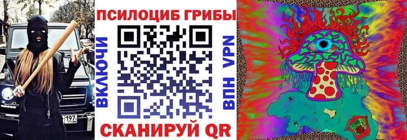 цены наркотик  Черемхово  Галлюциногенные грибы GOLDEN TEACHER 